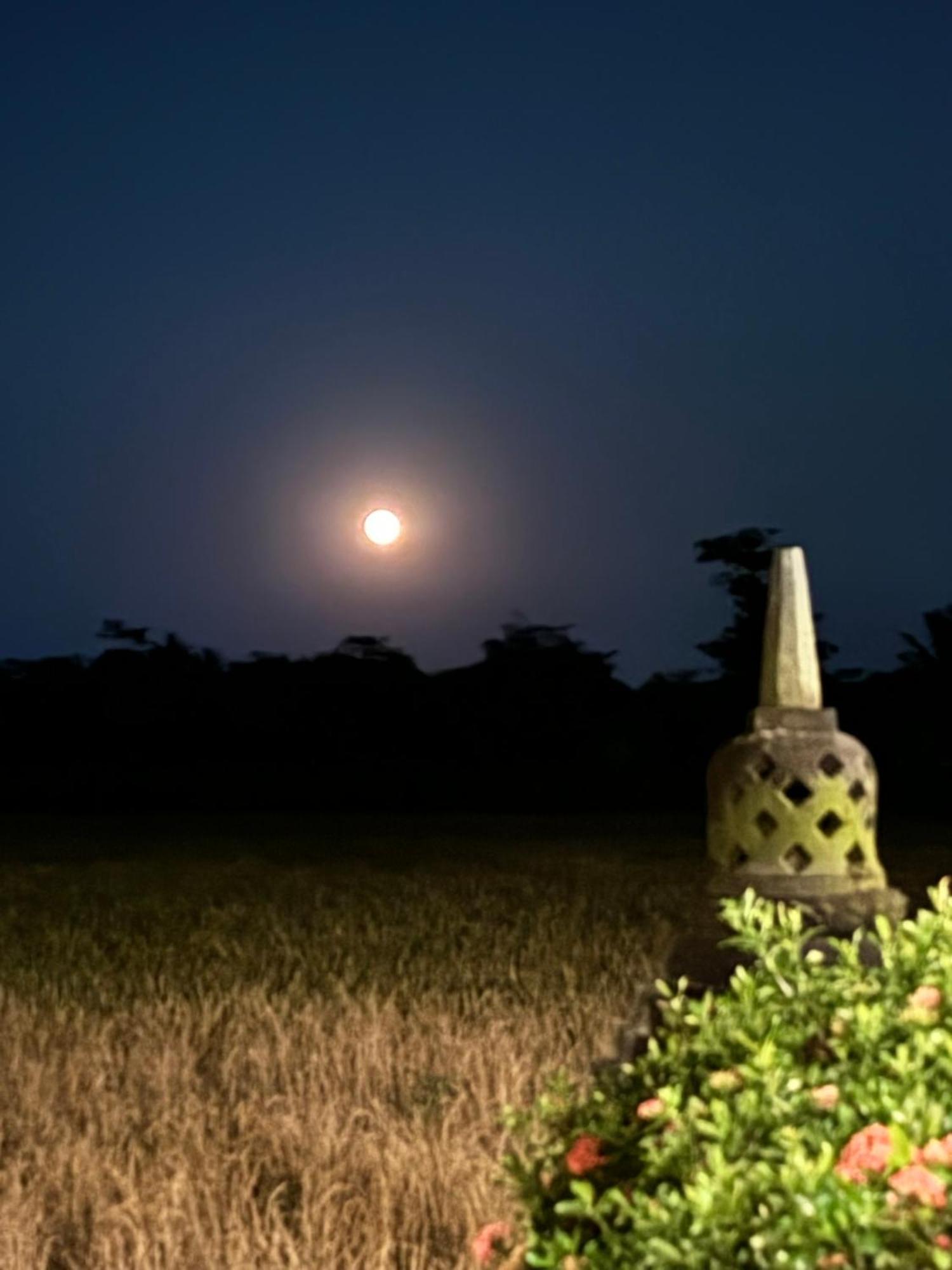 Rumah Dharma Magelang Dış mekan fotoğraf